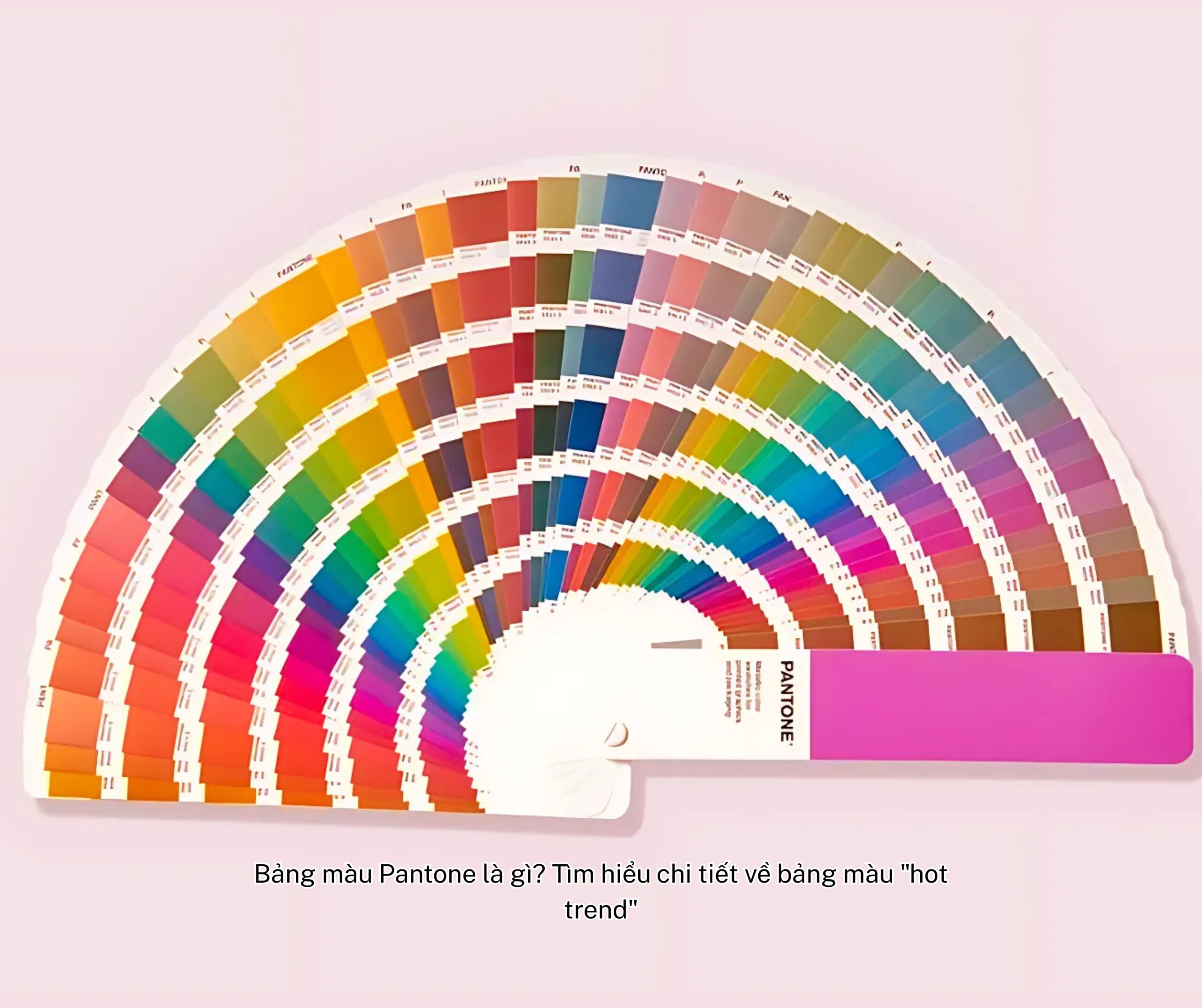 Bảng màu Pantone là gì?