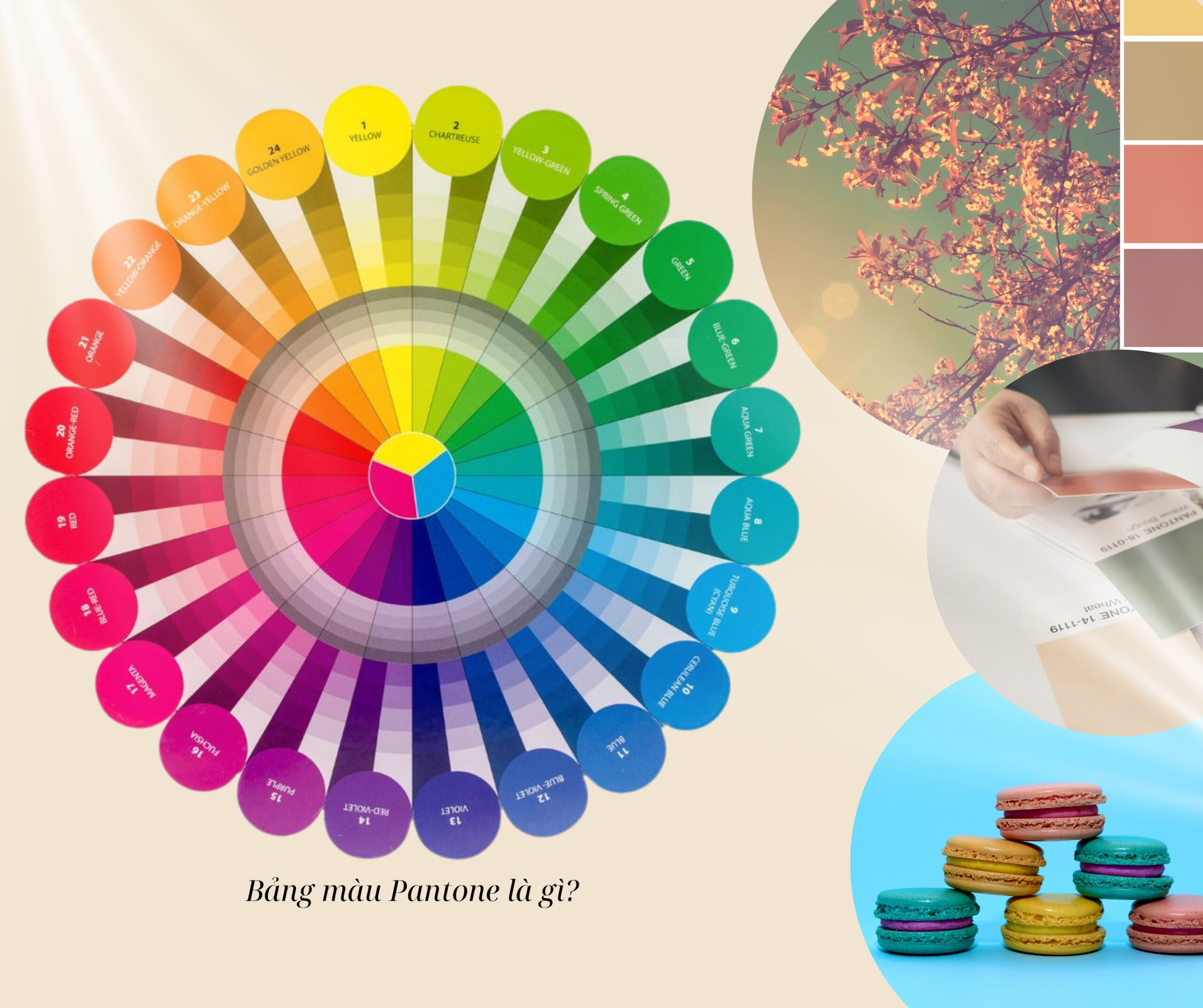 Màu Pantone