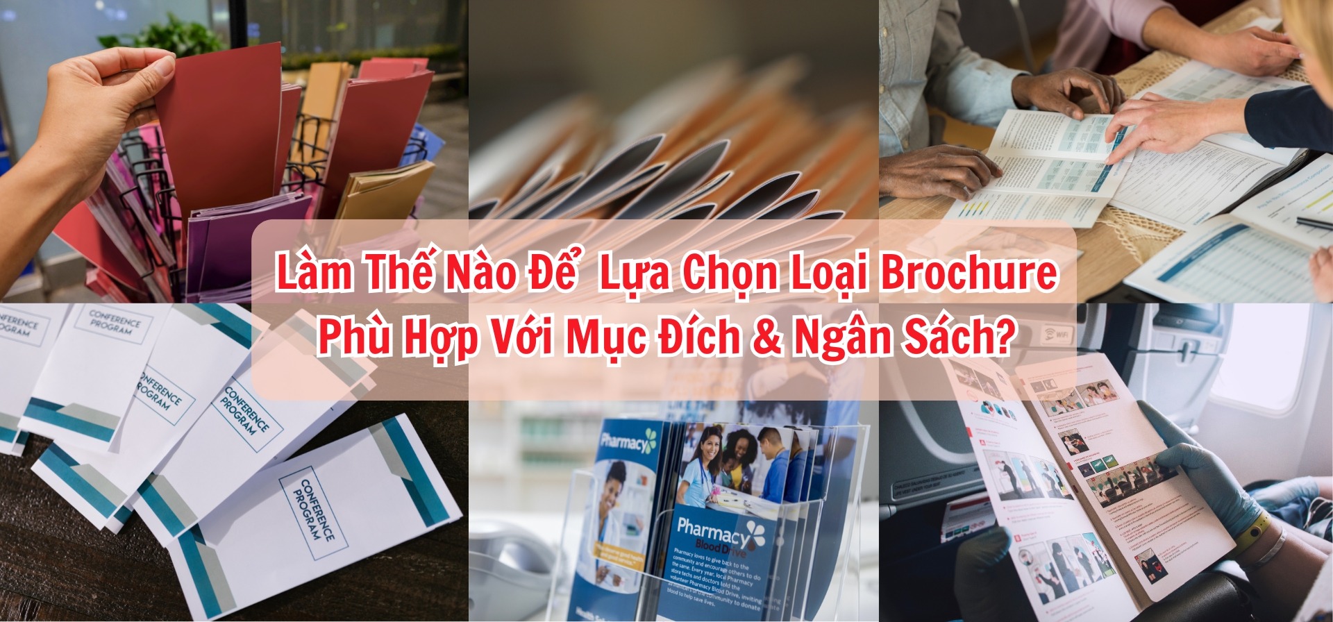 Cách lựa chọn Brochure