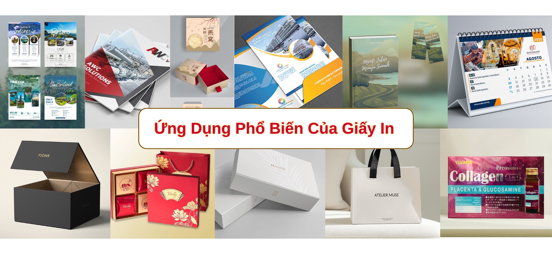 Loại giấy in được sử dụng nhiều nhất hiện nay