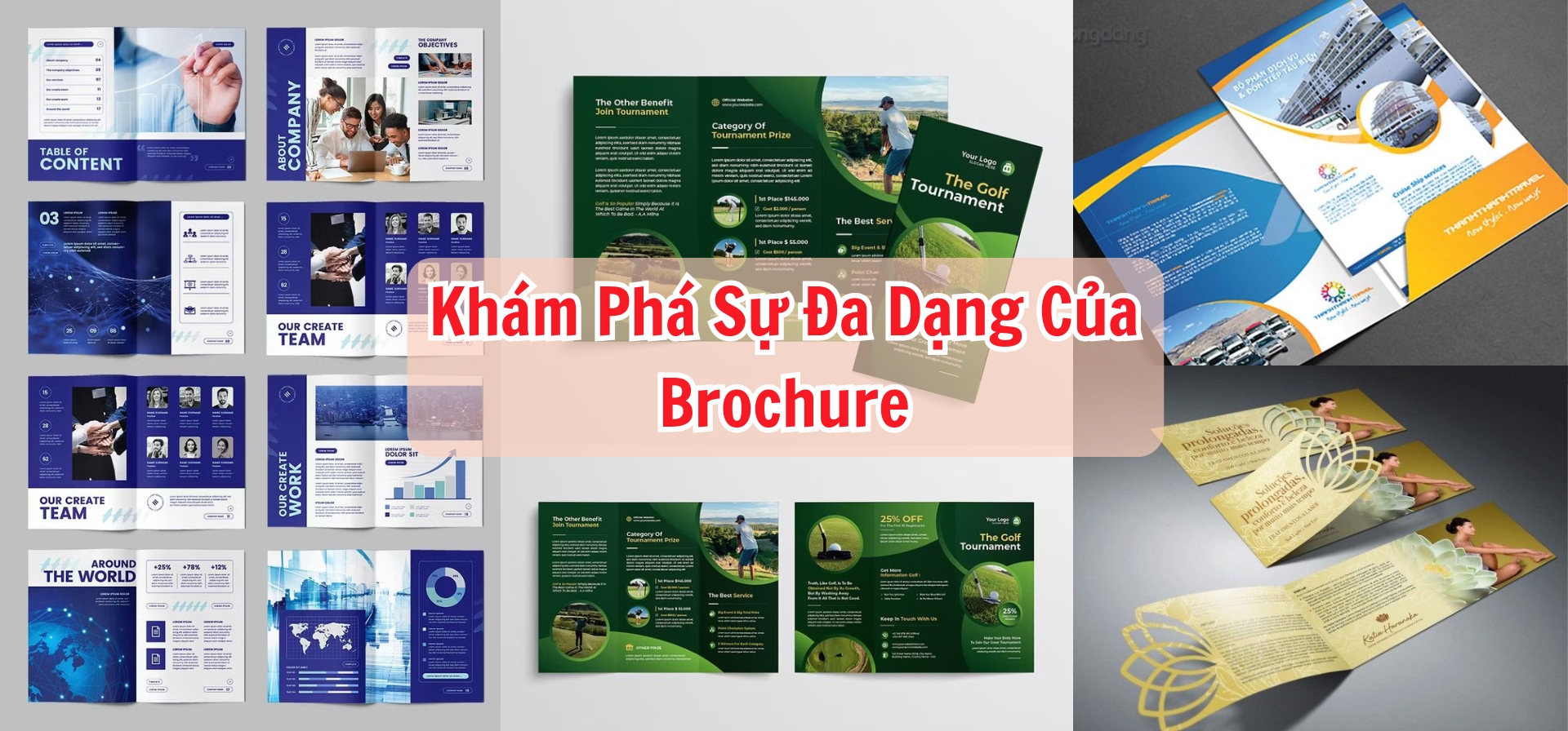 Sự đa dạng của Brochure